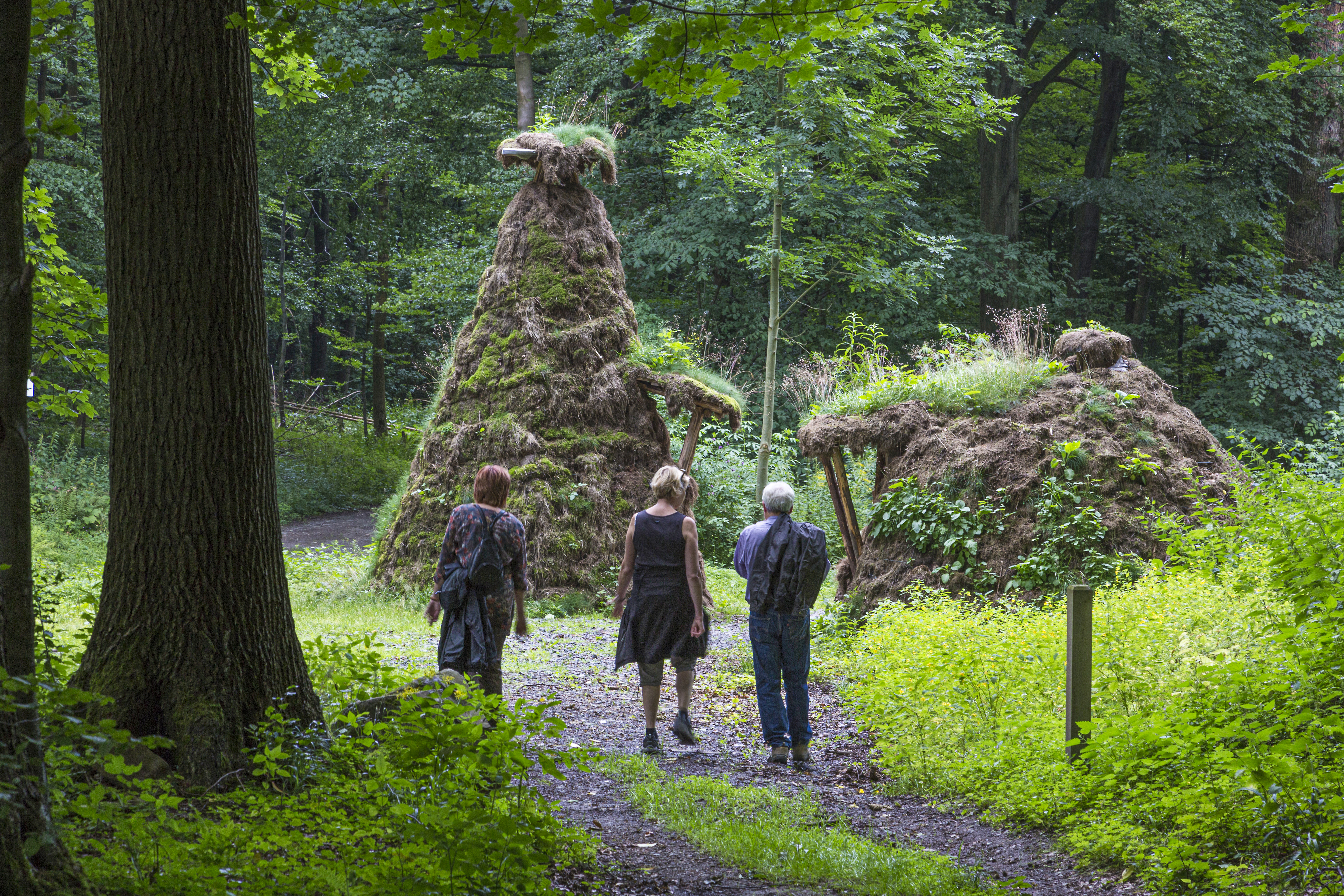 Walking, Person, Tree, Plant, Vegetation, Hiking, Nature, Outdoors, Leisure Activities, Adventure, Shoe, Footwear, Clothing, Woodland, Land, Tree Trunk, Fir, Path, Backpack, Bag, Grove, Jungle
