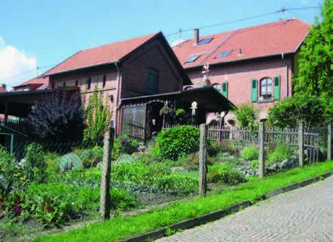  Outdoors, Nature, Yard, Architecture, Building, Housing, Suburb, Garden, House, Backyard, Neighborhood