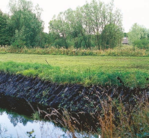 Outdoors, Grass, Plant, Ditch, Vegetation, Land, Nature, Field, Water, Countryside, Farm, Pasture, Rural, Pond, Grassland