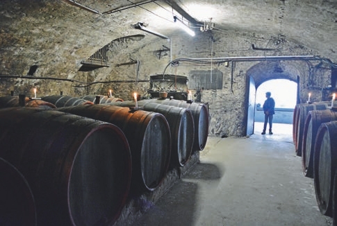  Person, Alcohol, Beverage, Liquor, Wine, Candle, Wine Cellar