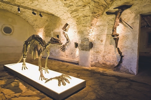  Indoors, Lamp, Architecture, Building, Museum, Animal, Dinosaur, Reptile, Bird, Person