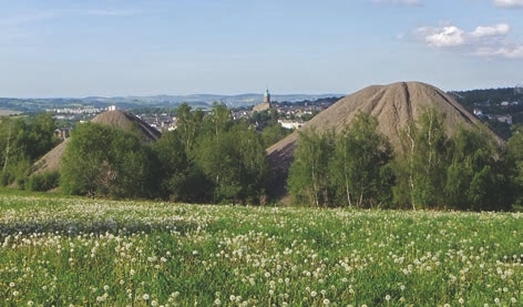  Field, Grassland, Nature, Outdoors, Scenery, Countryside, Hill, Landscape, Farm, Pasture, Rural, Plant, Vegetation