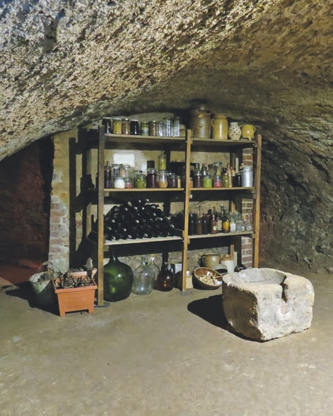  Alcohol, Beverage, Liquor, Wine, Cup, Wine Cellar