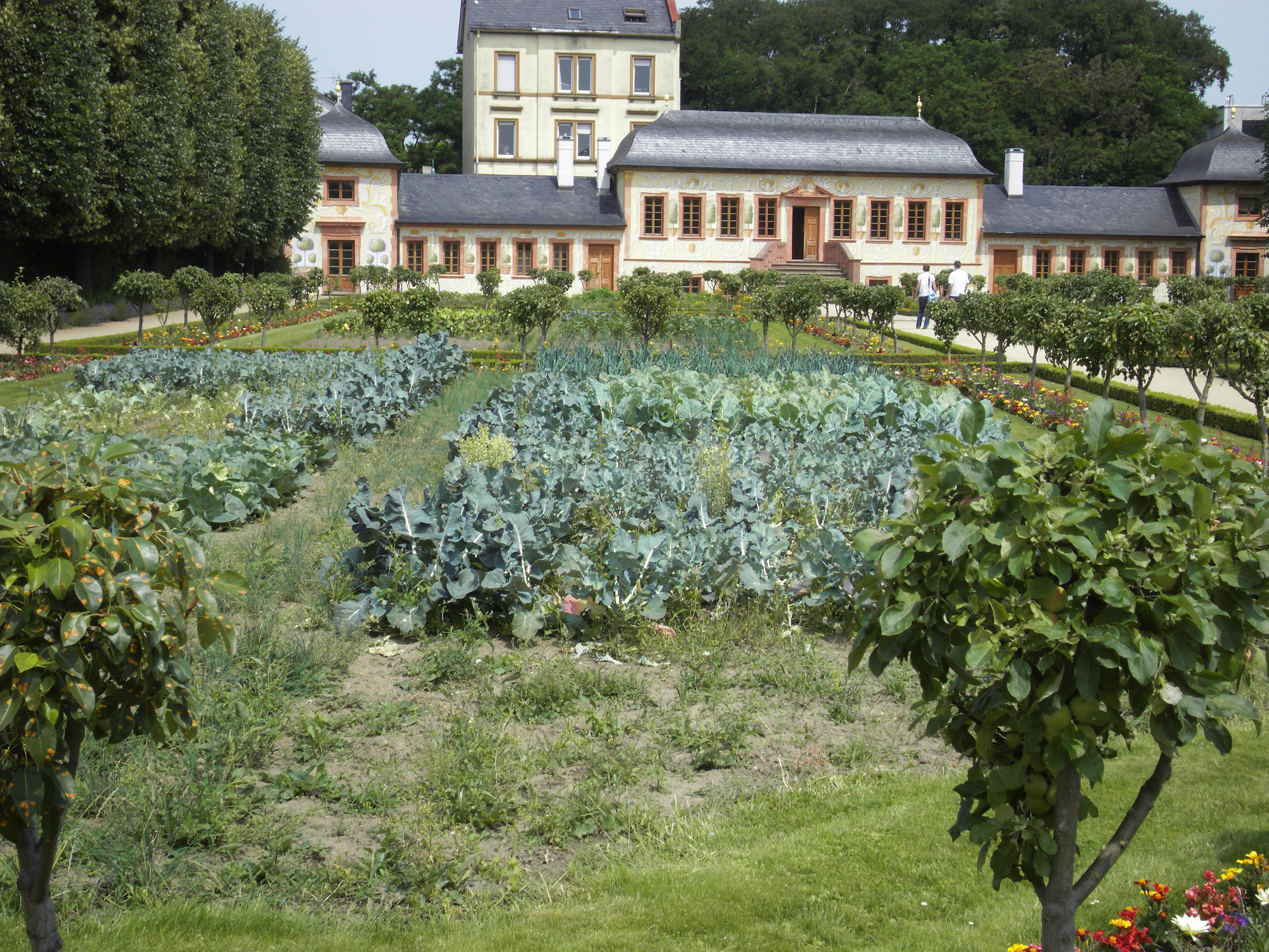  Garden, Nature, Outdoors, Person, Grass, Plant, Architecture, Building, Housing, House, Villa