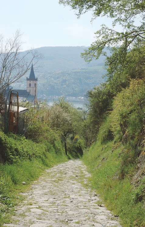  Path, Nature, Outdoors, Trail, Architecture, Building, Spire, Tower, Road, City, Street, Urban, Plant, Vegetation, Scenery, Monastery, Grass, Countryside, Housing