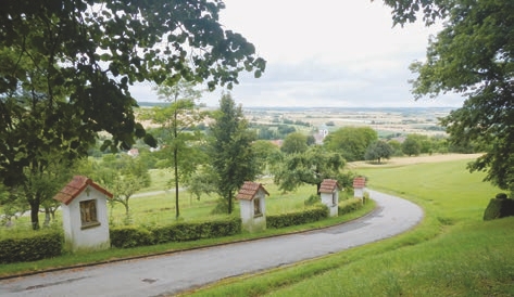 Outdoors, Architecture, Building, Housing, Nature, House, Countryside, Aerial View, Driveway, Rural