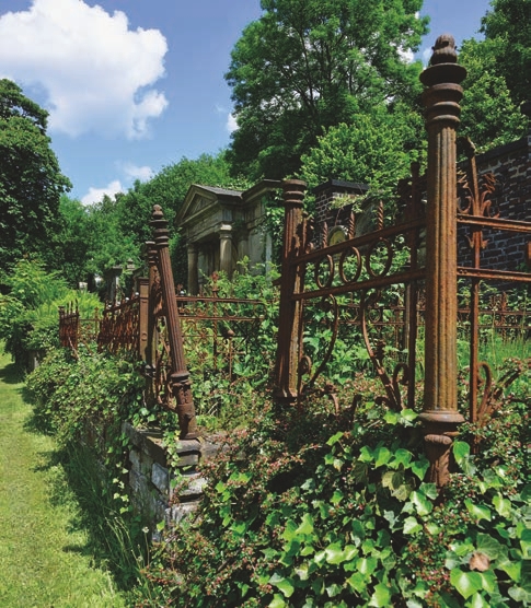  Garden, Nature, Outdoors, Yard, Person, Plant, Vegetation, Backyard, Graveyard