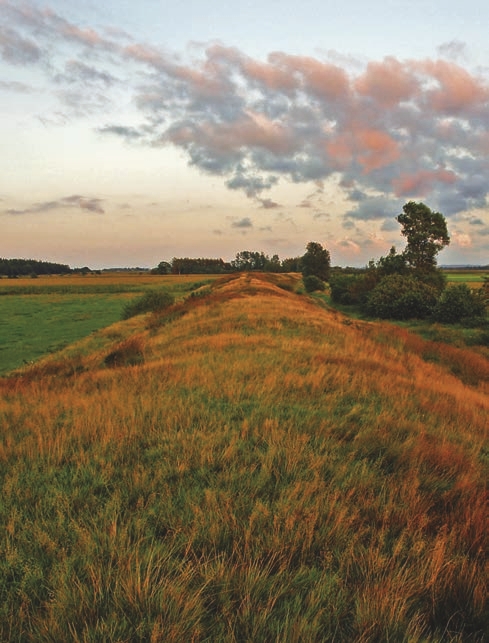  Field, Grassland, Nature, Outdoors, Grass, Plant, Sky, Slope, Countryside, Farm, Pasture, Rural, Mound, Person