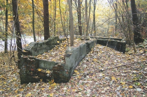 Tomb, Gravestone, Outdoors, Plant, Vegetation, Graveyard, Grove, Land, Nature, Tree, Woodland