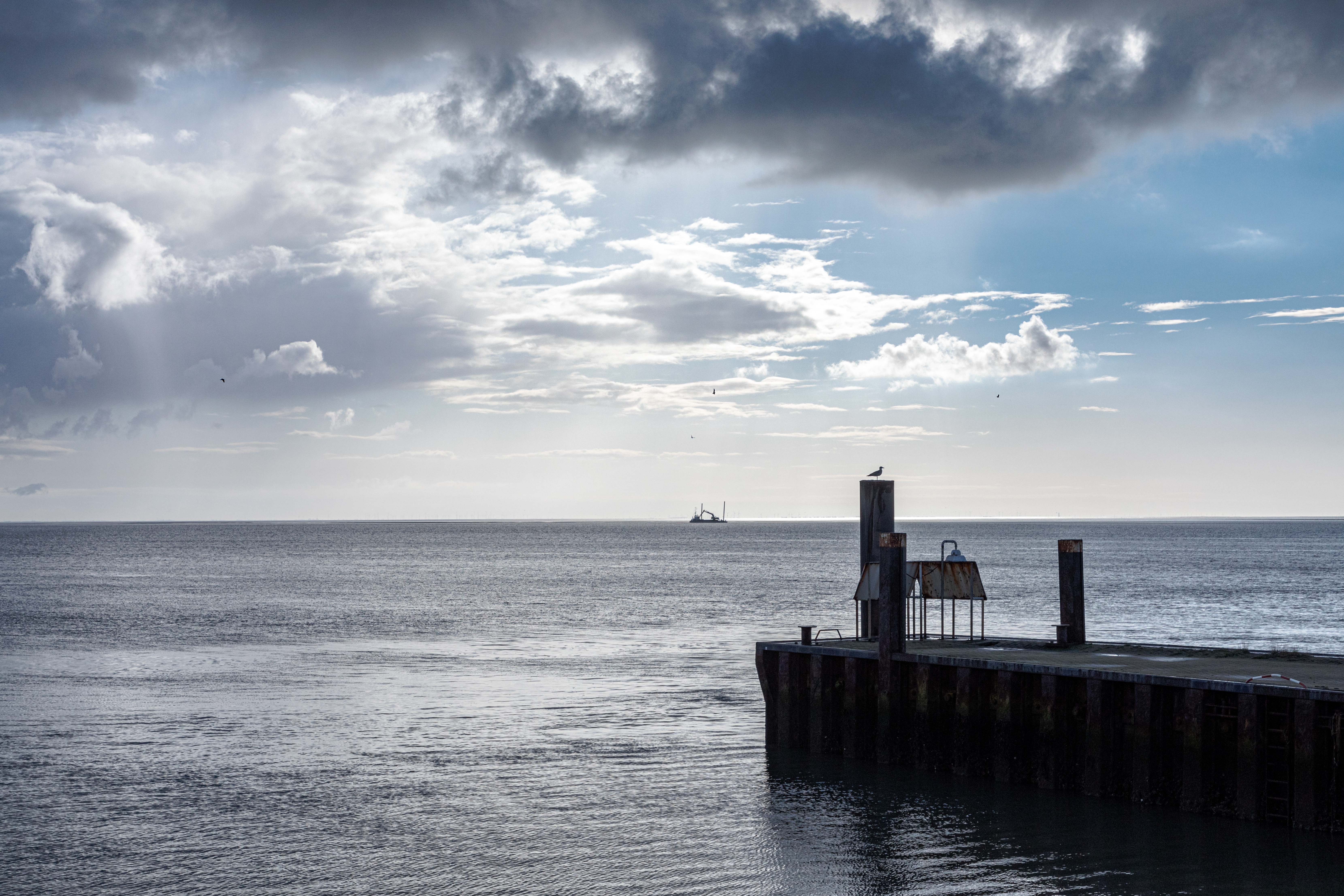  Water, Waterfront, Pier, Port, Animal, Bird, Outdoors, Nature, Sky, Boardwalk, Bridge, Boat, Sailboat, Transportation, Vehicle